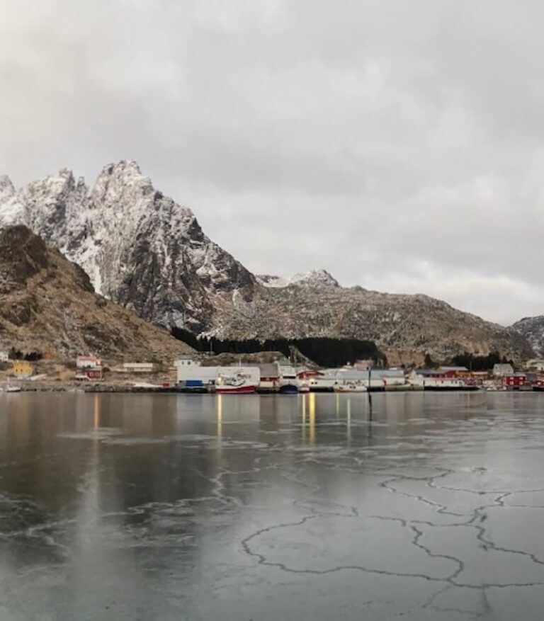 Norwegian Beauty Brands Ballstad Harbor